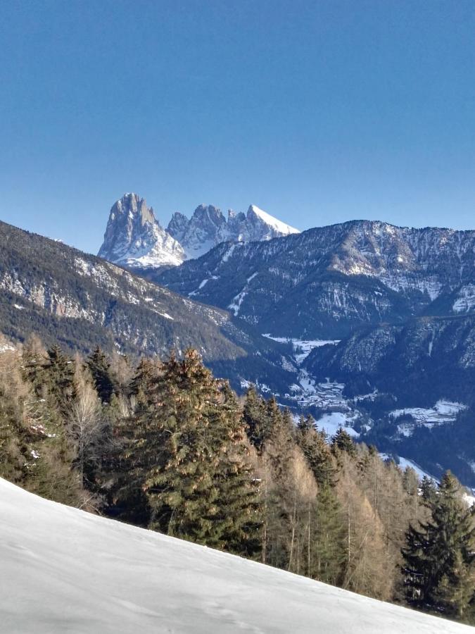 Alpine Chalet Aurora Dolomites Laion Exterior foto